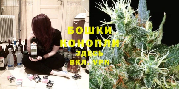 стафф Аркадак