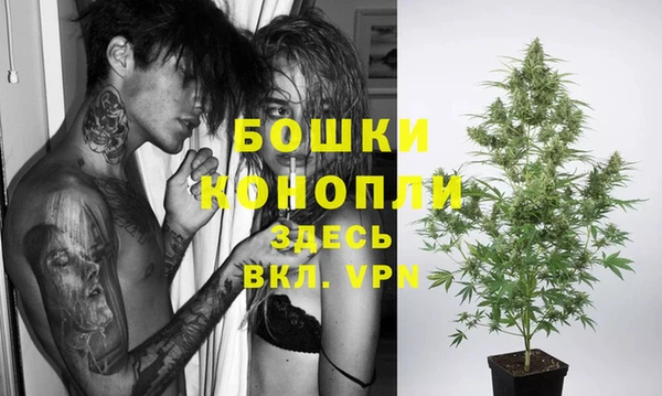 стафф Аркадак